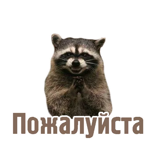 🙏 Стикер «TCA» для Telegram