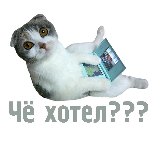 😕 Стикер «TCA» для Telegram