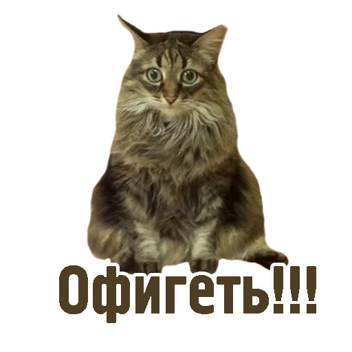 😳 Стикер «TCA» для Telegram