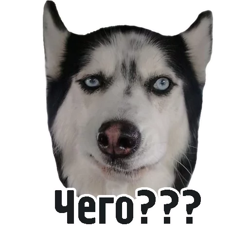 🤔 Стикер «TCA» для Telegram