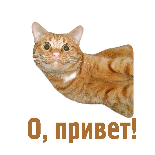 👋 Стикер «TCA» для Telegram