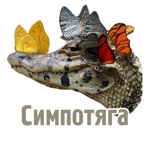 😏 Стикер «TCA» для Telegram