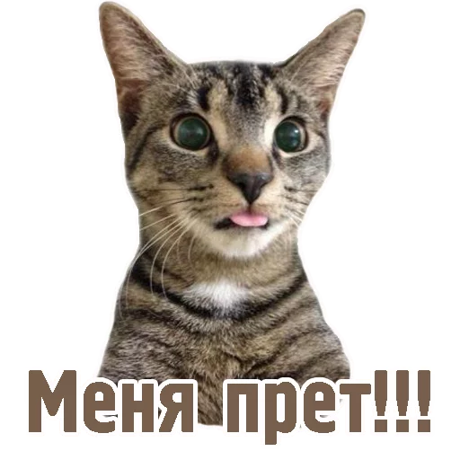 😜 Стикер «TCA» для Telegram