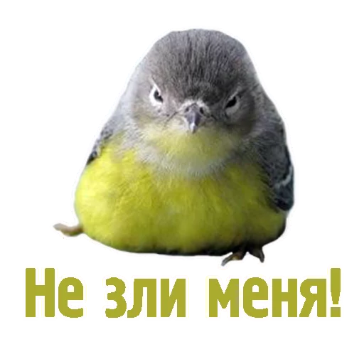 😡 Стикер «TCA» для Telegram