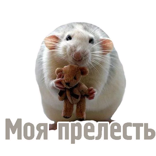 😈 Стикер «TCA» для Telegram