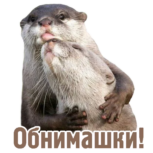 👫 Стикер «TCA» для Telegram