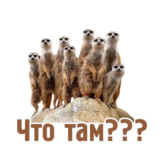 👀 Стикер «TCA» для Telegram