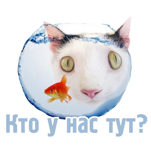 🐟 Стикер «TCA» для Telegram