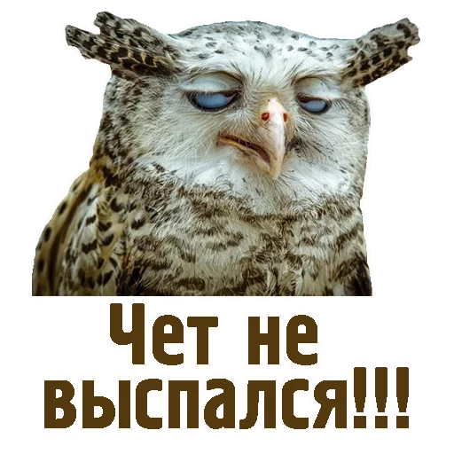 😑 Стикер «TCA» для Telegram