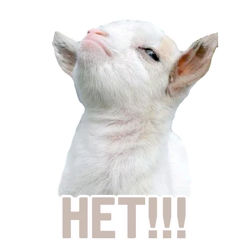 👎 Стикер «TCA» для Telegram