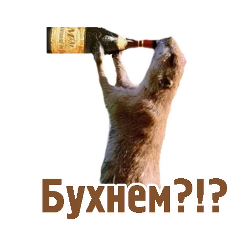 🍾 Стикер «TCA» для Telegram