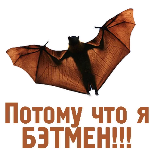 ✈ Стикер «TCA» для Telegram