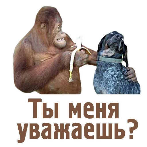 🍾 Стикер «TCA» для Telegram