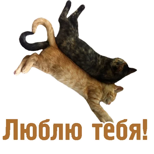 ❤ Стикер «TCA» для Telegram