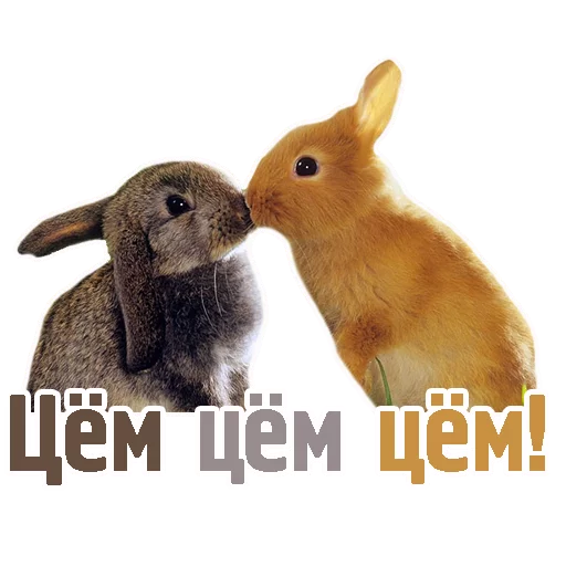 😘 Стикер «TCA» для Telegram