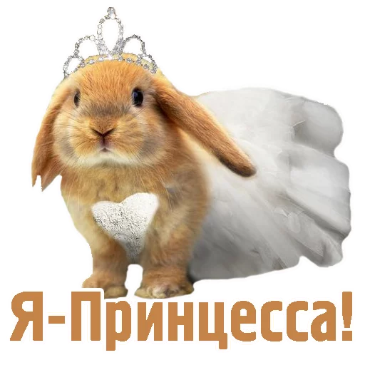 👰 Стикер «TCA» для Telegram