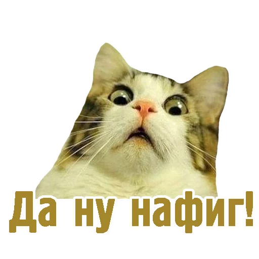 😳 Стикер «TCA» для Telegram