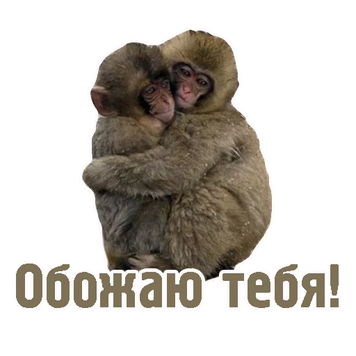 ❤ Стикер «TCA» для Telegram