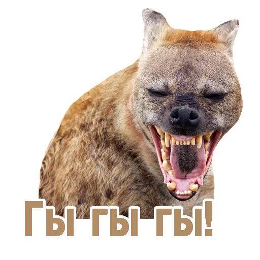 😂 Стикер «TCA» для Telegram