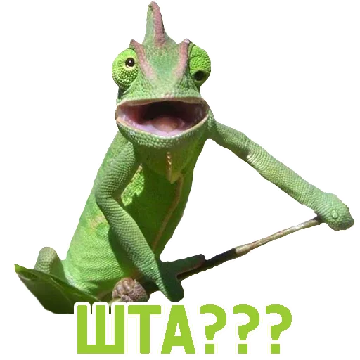 🤔 Стикер «TCA» для Telegram