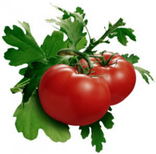 🍅 Стикер «Comidas & bebidas» для Telegram