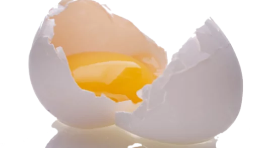 🍳 Стикер «Comidas & bebidas» для Telegram