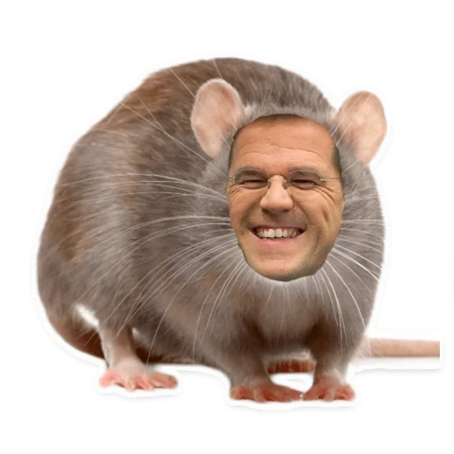 🐀 Стикер «Complotgekkies» для Telegram