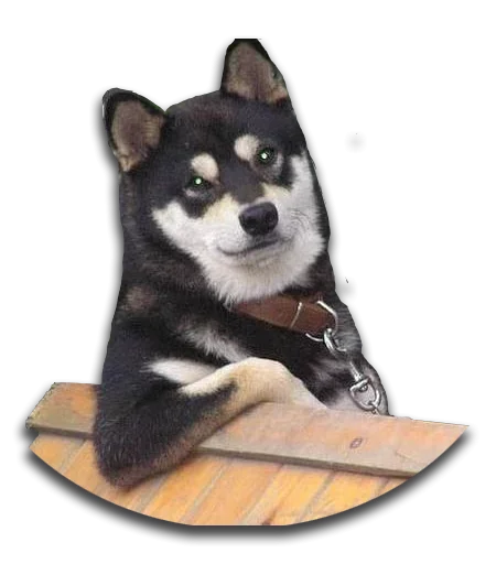😋 Стикер «Конгратулейшен» для Telegram