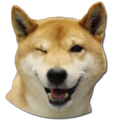 😉 Стикер «Конгратулейшен» для Telegram