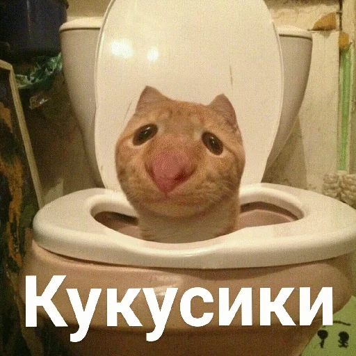 👋 Стикер «Выпуклые коты» для Telegram