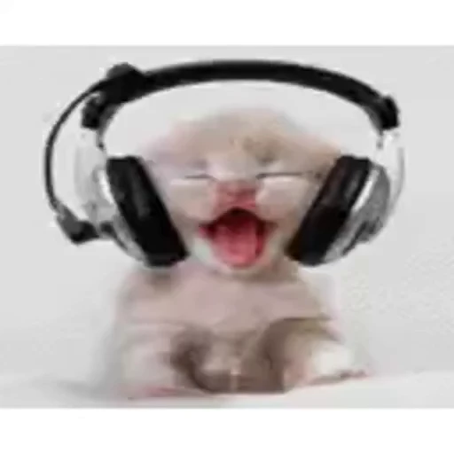 😺 Стикер «Безумные коты» для Telegram