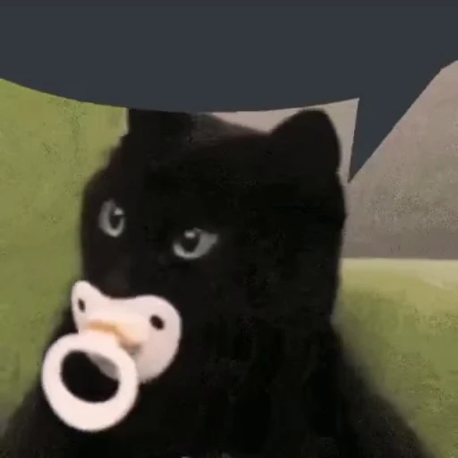 🐈‍⬛ Стикер «Безумные коты» для Telegram