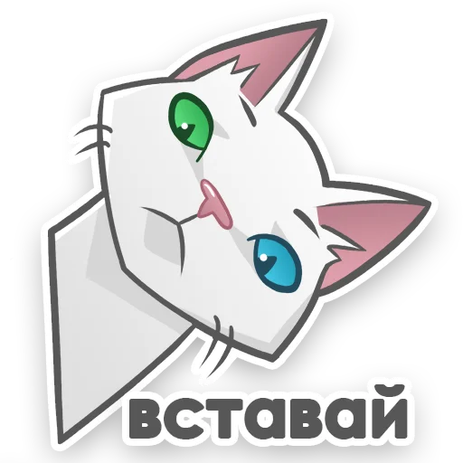 🤨 Стикер «АйсКот» для Telegram