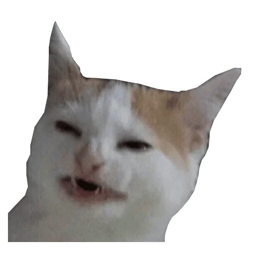 😑 Стикер «Memes» для Telegram