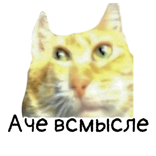 🫠 Стикер «Memes» для Telegram