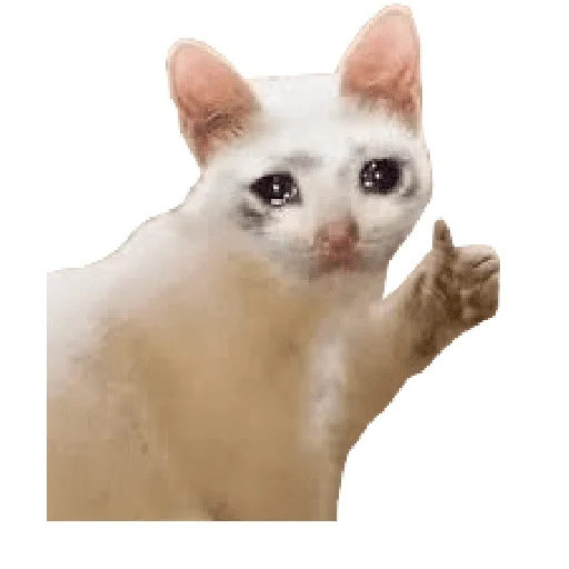 🥺 Стикер «Memes» для Telegram
