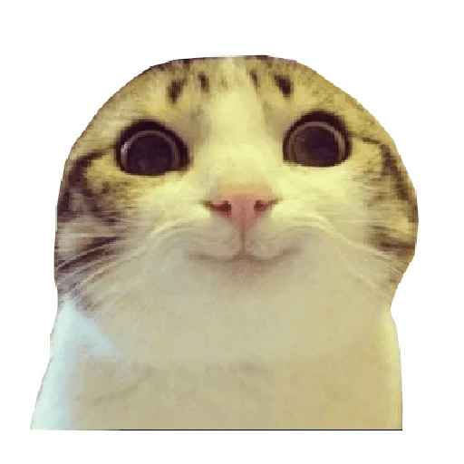 🙂 Стикер «Memes» для Telegram