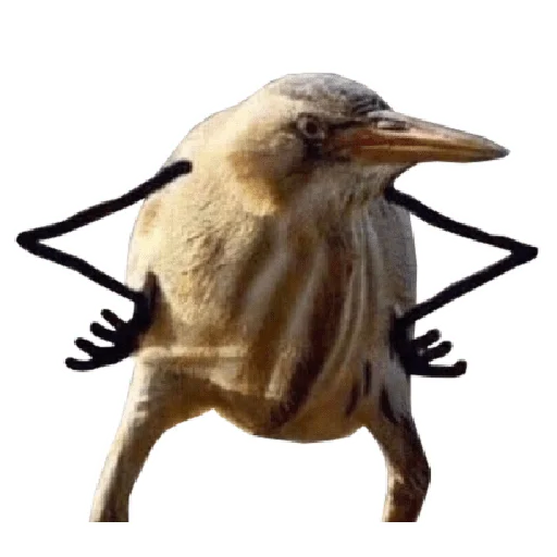 🤨 Стикер «Memes» для Telegram