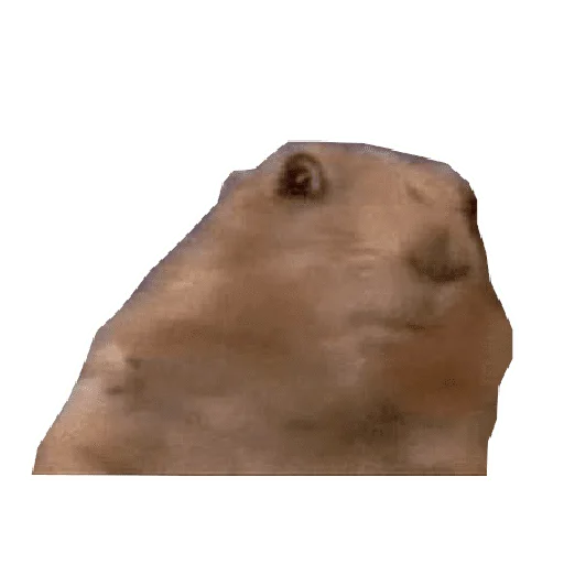 😳 Стикер «Memes» для Telegram