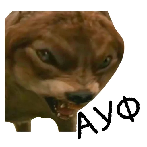 🐺 Стикер «Memes» для Telegram