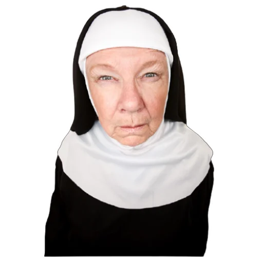 🤨 Стикер «coolnuns» для Telegram