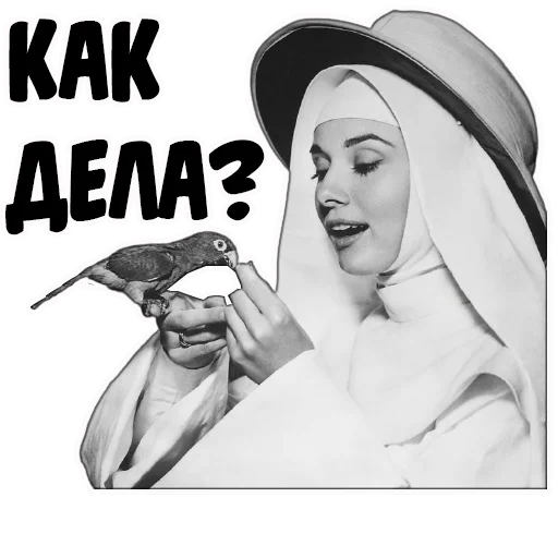 😊 Стикер «coolnuns» для Telegram