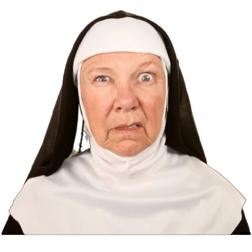 🤨 Стикер «coolnuns» для Telegram