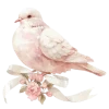 Эмодзи ⋆౨ৎ˚⟡˖ ࣪ ℴℯℯ для Telegram — скачать