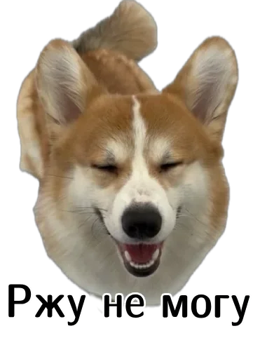 😂 Стикер «Corgi Cheetos» для Telegram