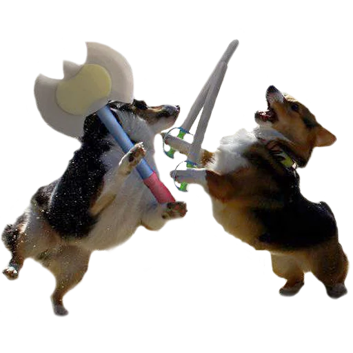 ⚔️ Стикер «Corguage» для Telegram