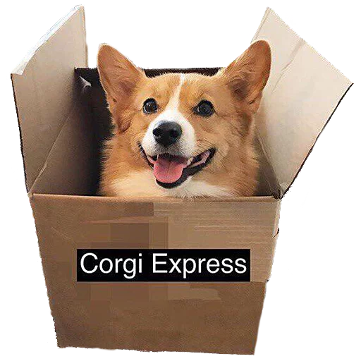 💌 Стикер «Corguage» для Telegram