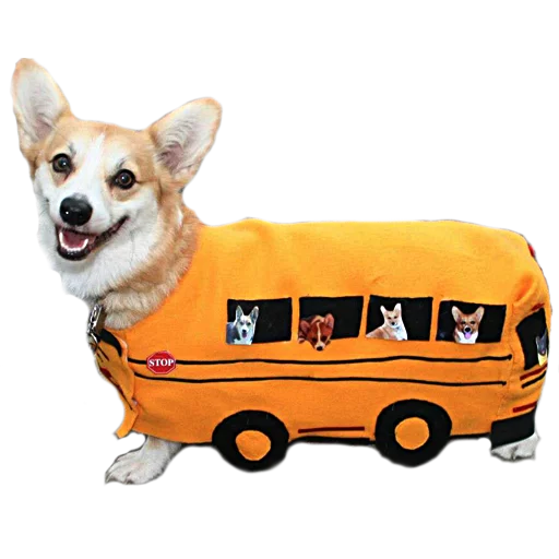 🚌 Стикер «Corguage» для Telegram