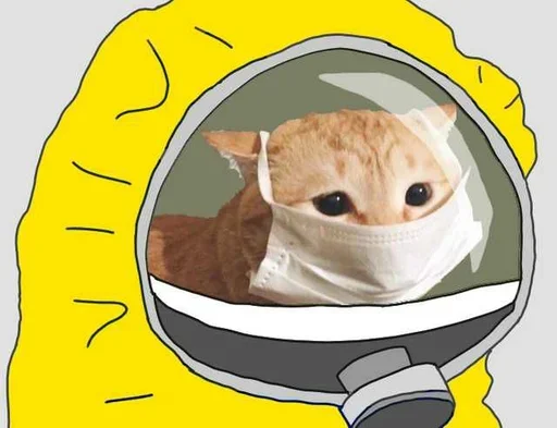 🐈 Стикер «Corona Pepe» для Telegram