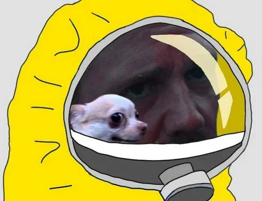 😰 Стикер «Corona Pepe» для Telegram